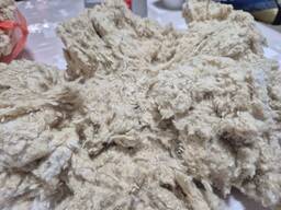 Cotton Lint / Хлопковый Линт