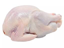 Frozen chicken breast/Hot Selling Frozen Chicken Breast For Sale