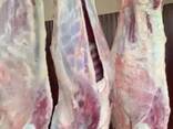 Goat meat - фото 1