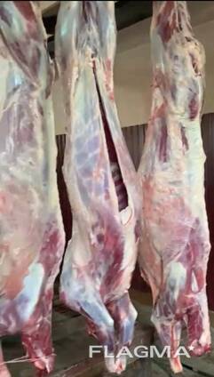 Goat meat