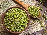 Green Mungbean - photo 2