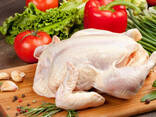 Halal Frozen Chicken, Thigh, Back quarter, Wings , Fillet IPBF , IQF, BF. - фото 2