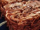 High Quality Copper Wire Scrap US Origin 100% Copper Content 10 Tons MOQ OEM ODM - фото 3
