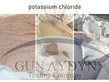 ХЛОРИСТЫЙ КАЛИЯ (Potassium Chloride) - photo 2