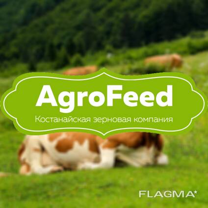 агрофид рус тула. агрофид логотип. агрофид рус тула. Agrofeed ясногорск. сухое молоко агрофид.