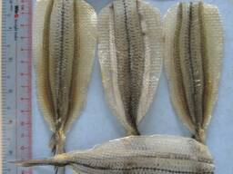 Купить сушеную рыбу в Туркменистан от производителя из Вьетнама.