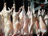 Lamb Mutton meat - photo 3