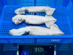 Мороженная рыба и морепродукты в Туркменистан от производителя из КНР