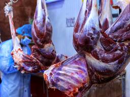 Ostrich meat