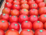 Помидоры из Туркменистана - фото 3