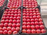 Помидоры из Туркменистана - photo 8