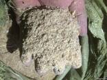 Пшеница мягкая, отруби, ячмень, овес, мука, лен, горчица - фото 3