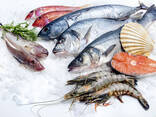 Рыба и Море продукты