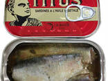 Sardine fish - photo 1