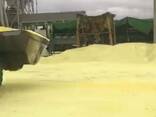 Granulated sulfur, lump sulfur - фото 1