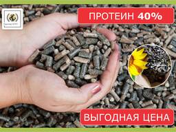 Шрот подсолнечный (доля протеина min 40%)