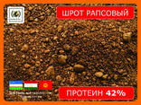 Шрот рапсовый (42% протеин на АСВ) ж/д-доставка - photo 1