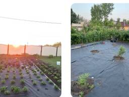 Спанбонд 60,80,100,120