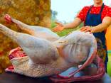 Страусиное мясо-Ostrich meat - photo 3