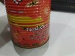 Томатная Паста - фото 1