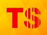 Torgsoft. . Logo. . Автоматизация бизнес процесса и создание сайтов - фото 1