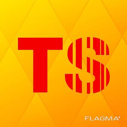 Torgsoft. . Logo. . Автоматизация бизнес процесса и создание сайтов
