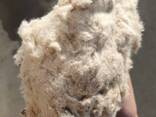 We sell cotton lint - photo 1