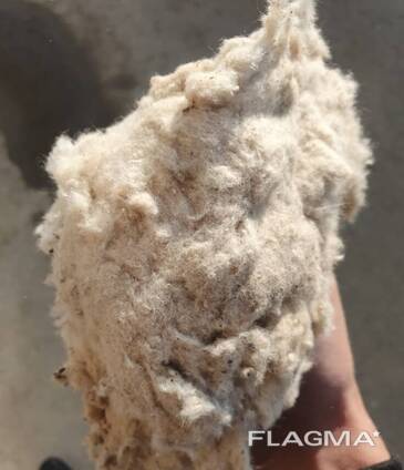 We sell cotton lint