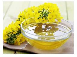 Wholesale Refined Rapeseed Oil | Refined Canola Oil | Certified Organic