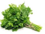 Greens, Dill and Parsley from Uzbekistan - photo 1