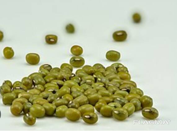 Зелёный Маш (Бобы мунг)